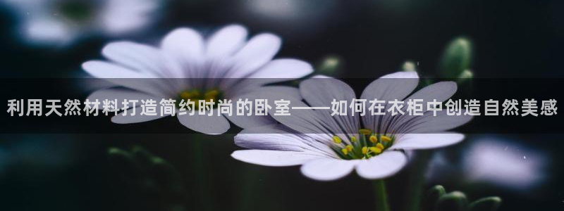 天辰娱乐官方网