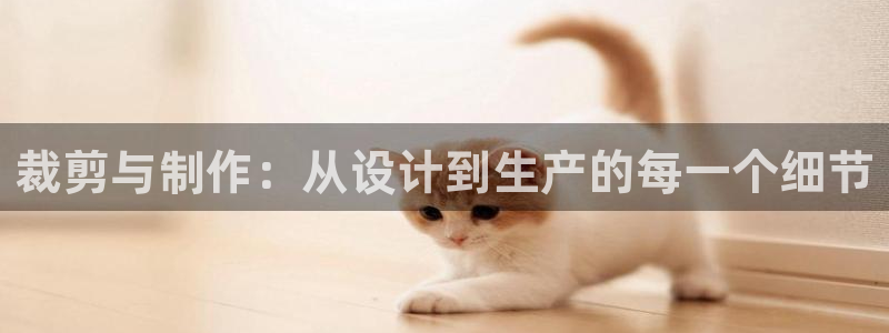 天辰娱乐总管年薪