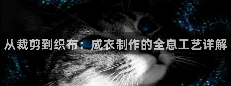 天辰娱乐国际