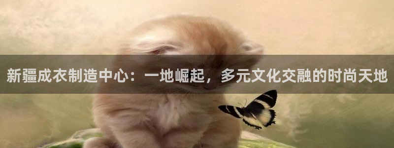 天辰娱乐51137