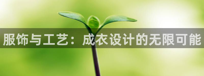 天辰娱乐官网平台入口