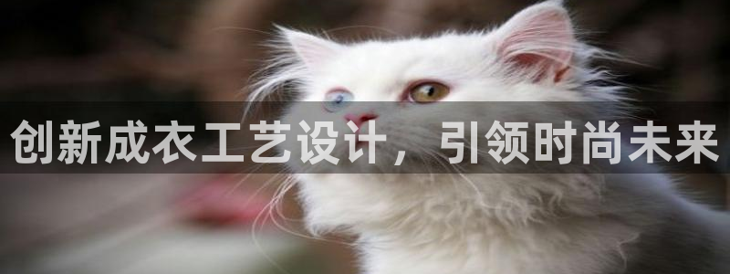 天辰娱乐天辰宝