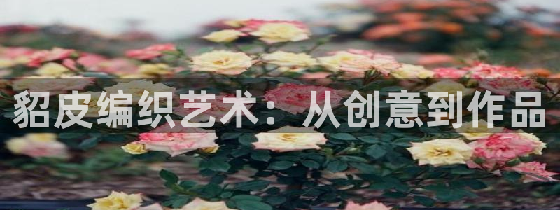 天辰天富娱乐登录