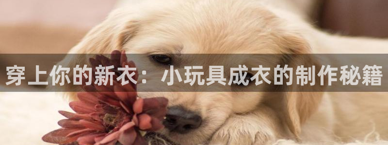 天辰娱乐 注册