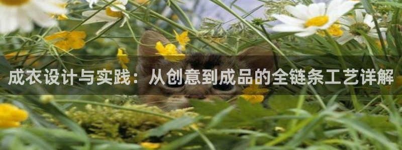 天富娱乐与天辰娱乐