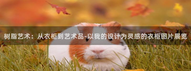 天辰娱乐平台登录账号
