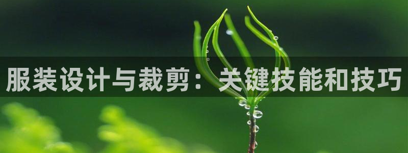 天辰团队贝高娱乐